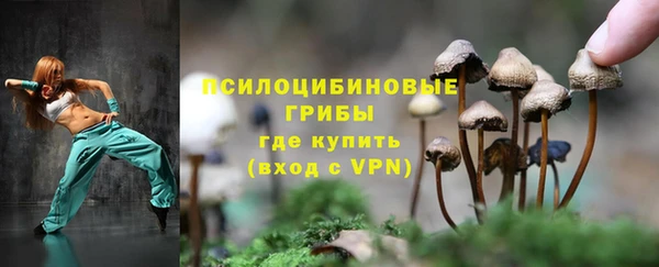 шишки Абинск