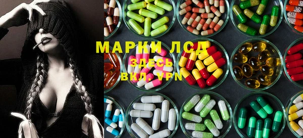 дмт Алзамай