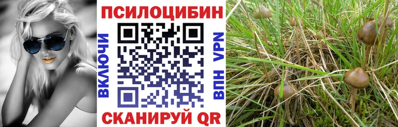 Псилоцибиновые грибы Psilocybe Протвино